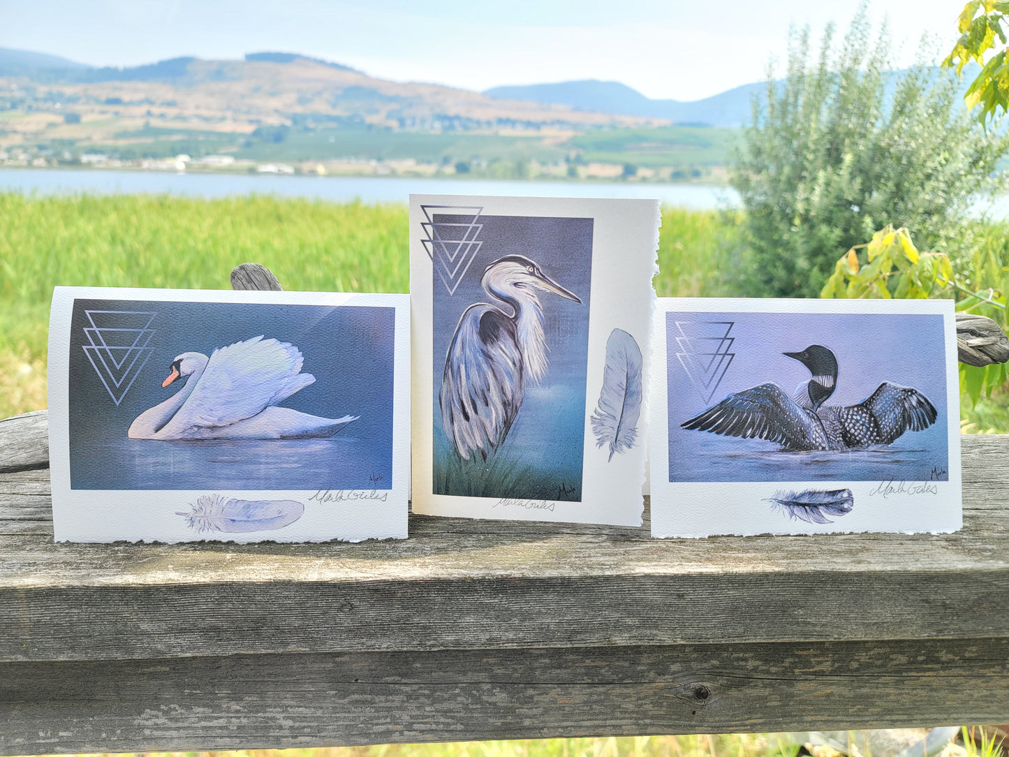 Art card - Swan *free shipping in Canada