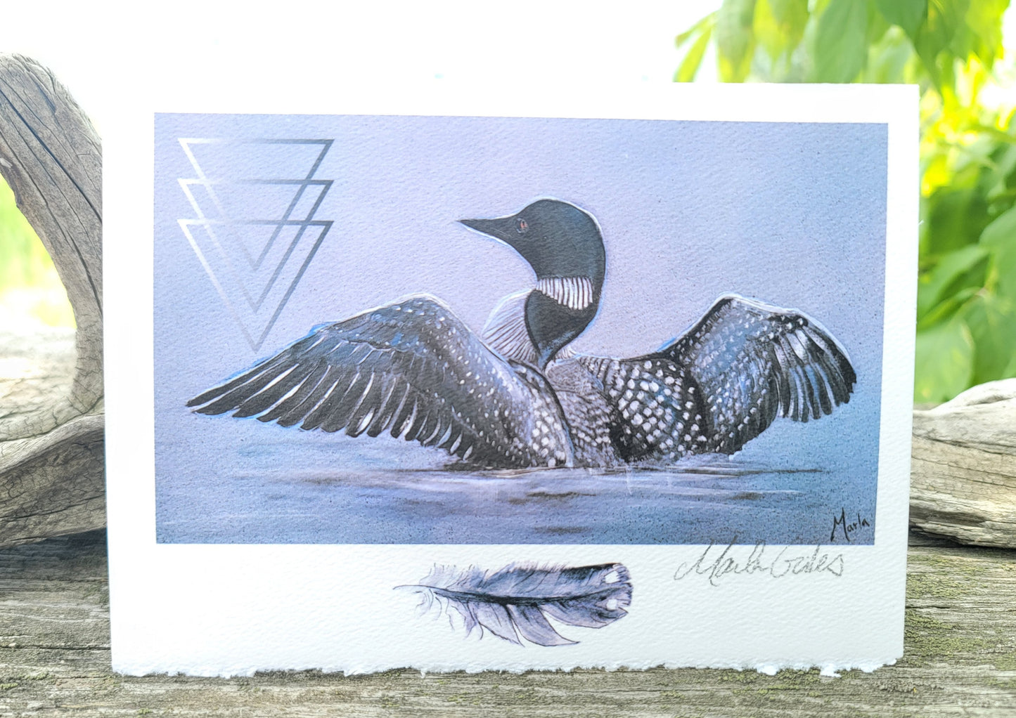 Art card - Common Loon *free shipping in Canada