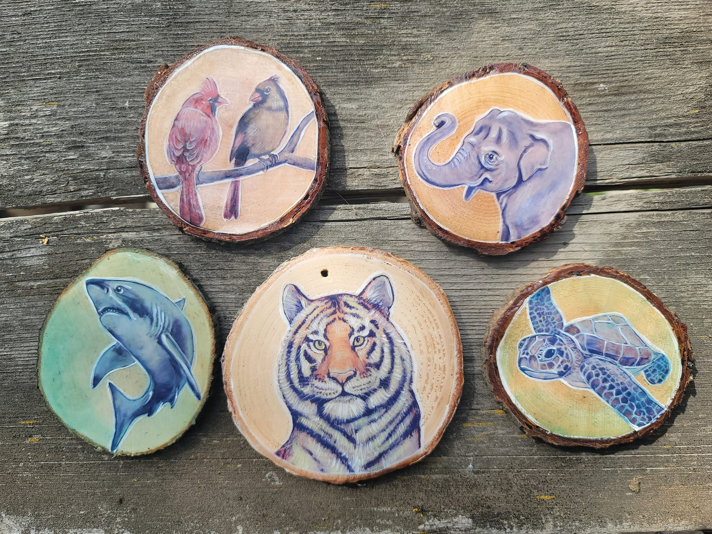 Tiger - wood slice, hand made ornament